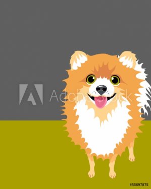Illustration of Happy Pomeranian - 901142746