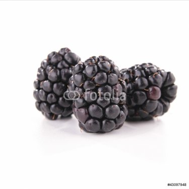 isolated blackberry - 900623238