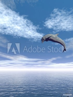 jump_dolphin_v