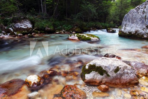 Kamniska Bistrica stream in Slovenia Alps mountain - 900659170