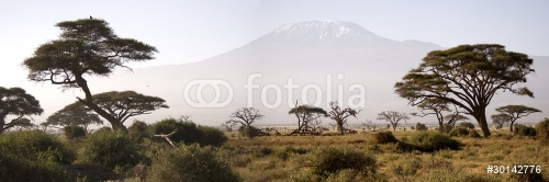 Kilimanjaro Mountain - 900091429