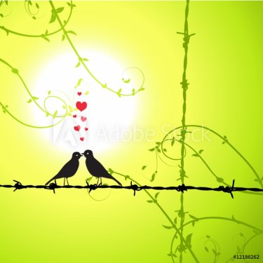 Love, birds kissing on branch - 900459895