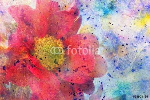 messy colorful watercolor splashes and red flower - 901143012