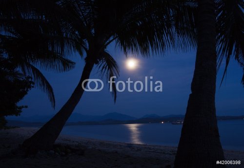 Moonlight on the water - 900452691