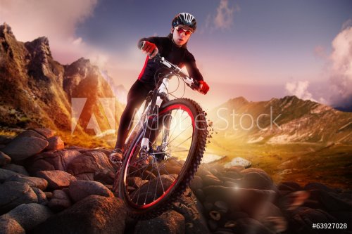 Mountain Bike cyclist riding - 901141993