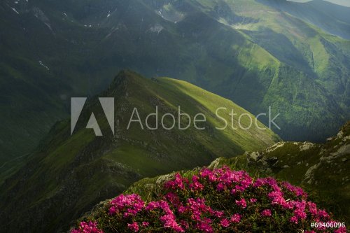 Mountain Landscape in the Carpathians - Fagaras - 901145335