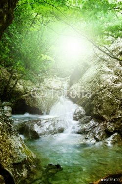 Natural Spring Waterfall - 900077915