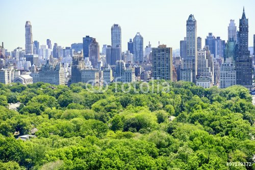 New York City skyline with Central Park - 901146795
