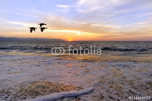 Ocean Sunset Birds Silhouette