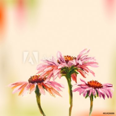 Oil painting. Echinacea. Greeting Card. - 901142969