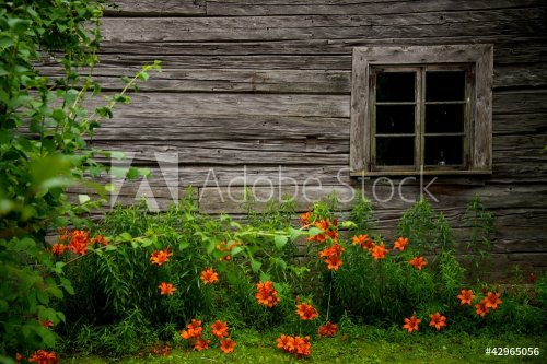 Old rural wooden house - 901138003