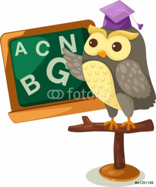 Owl teacher - 900453090