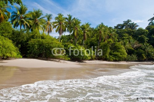 Palm trees on the beach near with blue sky - 900345519