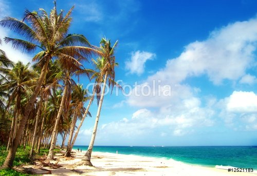 perfect  tropical beach