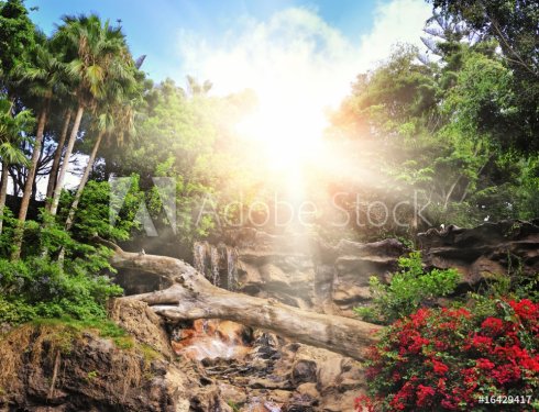 Picture of a tropical background - 901138041