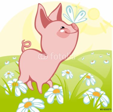 pig goes on a flower meadow