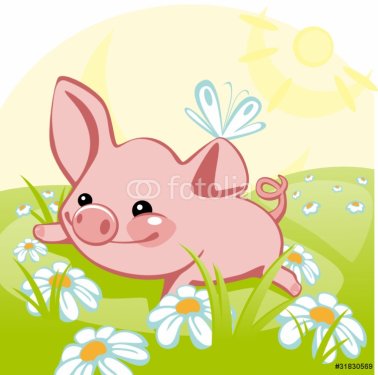 pig lying on a flower meadow