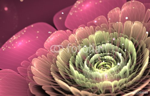 pink and green fractal flower - 901142921