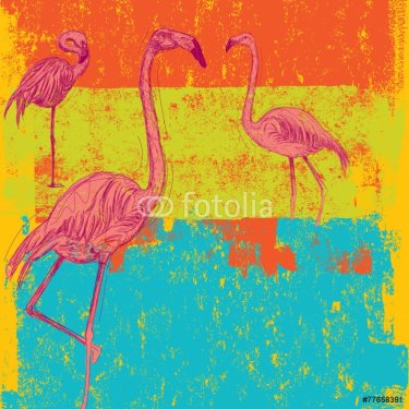 Pink Flamingo background - 901143763