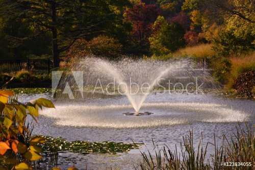 pond in fall - 901149354
