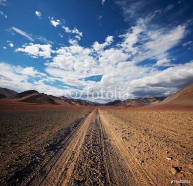 Prairie in Mongolia