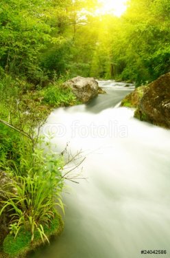 River in the forest - 900673741