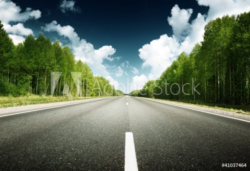 road in forest - 900440115