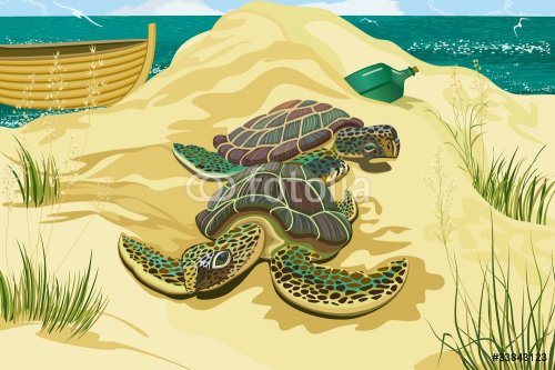 Sea turtles on the beach - 900461667