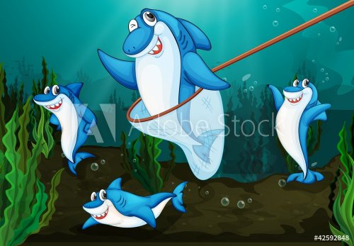 shark fish - 900460506