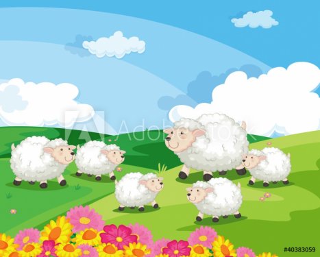 sheep in a field in new zealand - 900454232