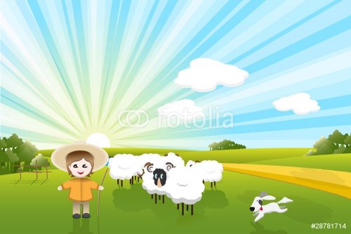 sheeps and dog - 900458495
