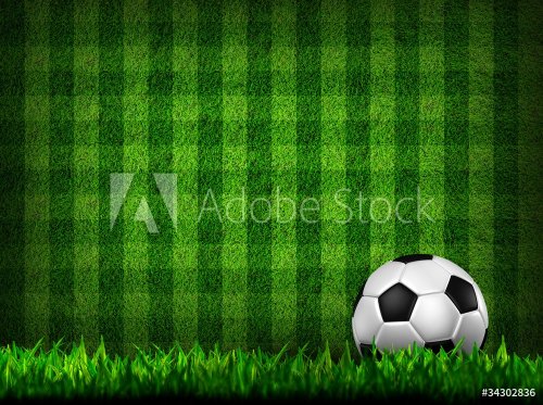soccer football on grass field - 900498446