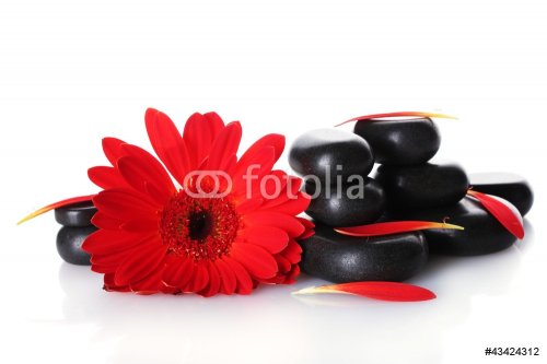Spa stones, red flower and petals isolated on white - 901140908