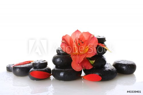 Spa stones with drops, red flower and petals isolated on white - 901140911