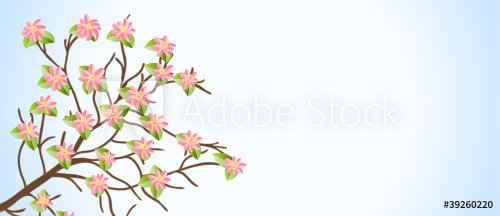 spring background - 900458644