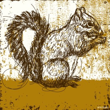 Squirrel - 901143730