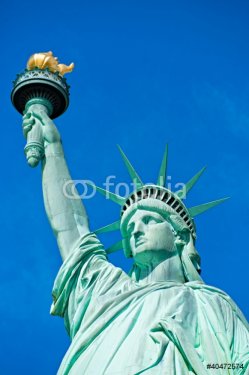 Statue of Liberty. New York, USA. - 900272031