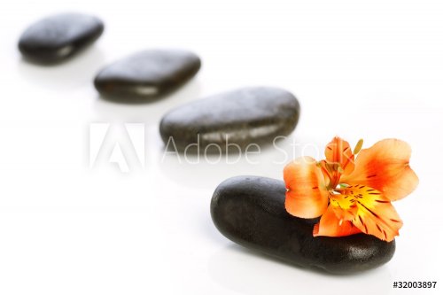 stones and flower - 900738655