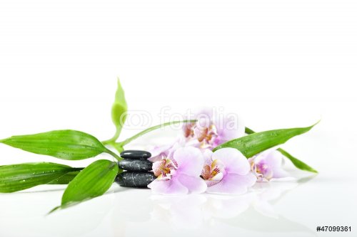 stones, bamboo and pink orchid on the white background