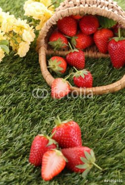 strawberry - 900425995