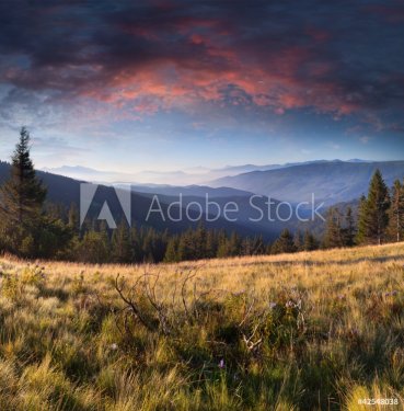 Summer landscape in the mountains. Sunrise - 900451704