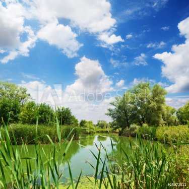 summer landscape, river and blue sky - 900636362
