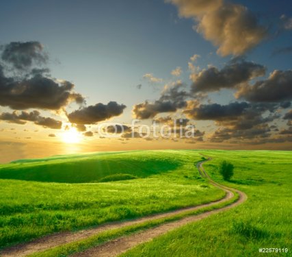 Summer landscape with green grass, road and clouds - 900005139