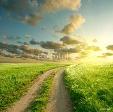 Summer landscape with green grass, road and clouds - 900064256