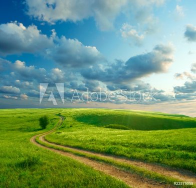Summer landscape with green grass, road and clouds - 900326662