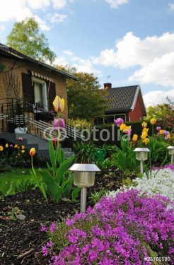 Summer Swedish front house garden