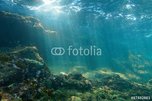 Sunbeams underwater viewed from seabed in a reef