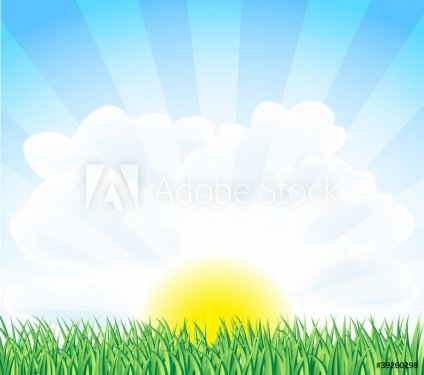 sunny landscape - 900458642