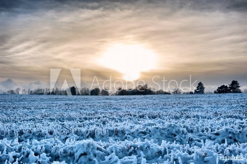 Sunset over a frozen field - 901140072