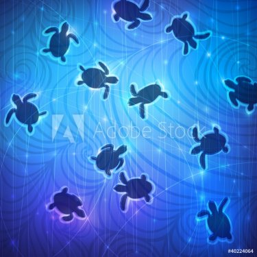 Swimming Baby Turtles - 900497499